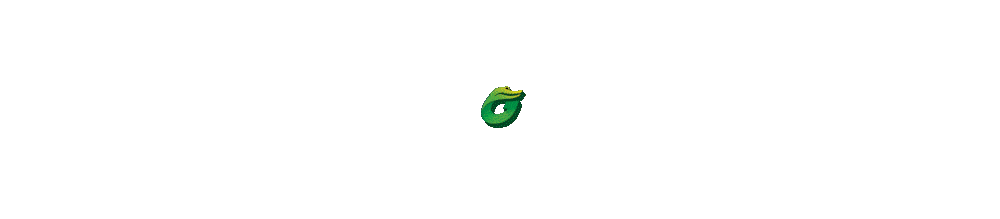 GADUNSLOT logo